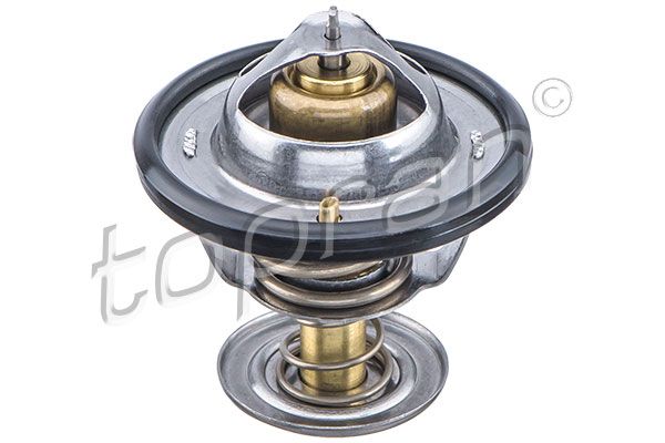 8192341 ΘΕΡΜΟΣΤΑΤΗΣ (82 C)