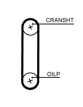 053RP9M100HT ΙΜ. ΧΡΟΝΙΣΜΟΥ AUDI A3-SEAT LEON 1.6TDI  DAYCO