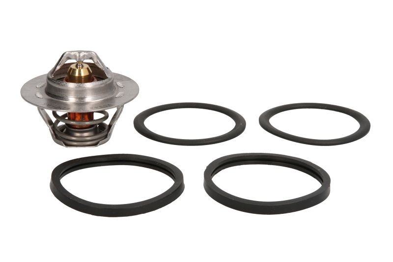 8192145 ΘΕΡΜΟΣΤΑΤΗΣ (82C)